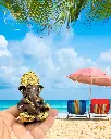 30.webp