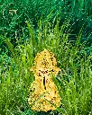 24-carat-golden-titwala-ganpati-for-car-home-office-gift-22.webp
