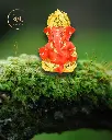 24-carat-gold-orange-titwala-ganpati-nature39.webp