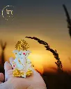24-Carat-Pure-Gold-Plated-white-titwala-ganpati 58.webp
