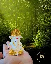 24-Carat-Pure-Gold-Plated-white-titwala-ganpati 57.webp