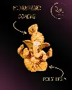 Bronze-Rubber-Coating-Pagdi-Ganpati-Idol25.webp