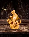 Bronze-Rubber-Coating-Pagdi-Ganpati-Idol33.webp