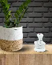 white-rose-shaped-ganpati71.webp