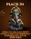 chocolate-brown-titwala-ganpati41.webp