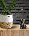 chocolate-brown-titwala-ganpati69.webp