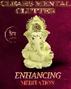 Ivory-titwala-ganpati30.webp